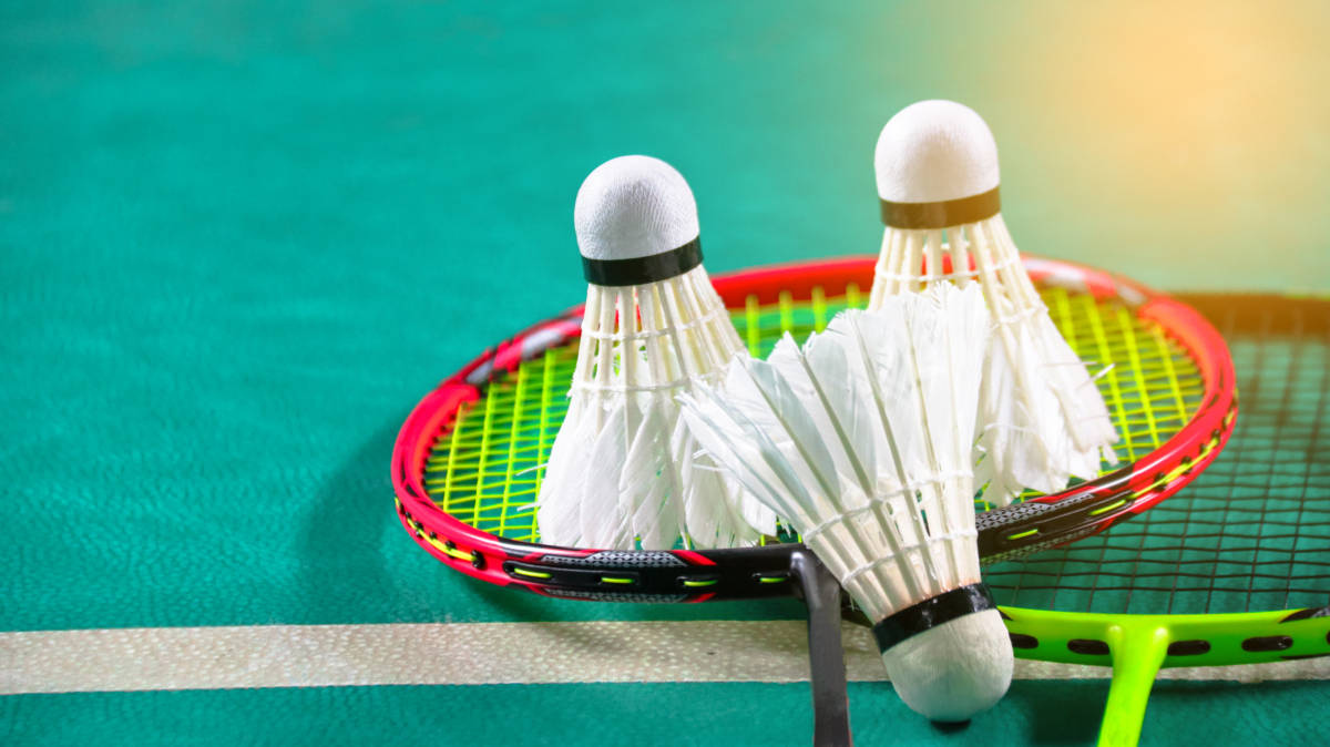 提供了源源 提供了源源